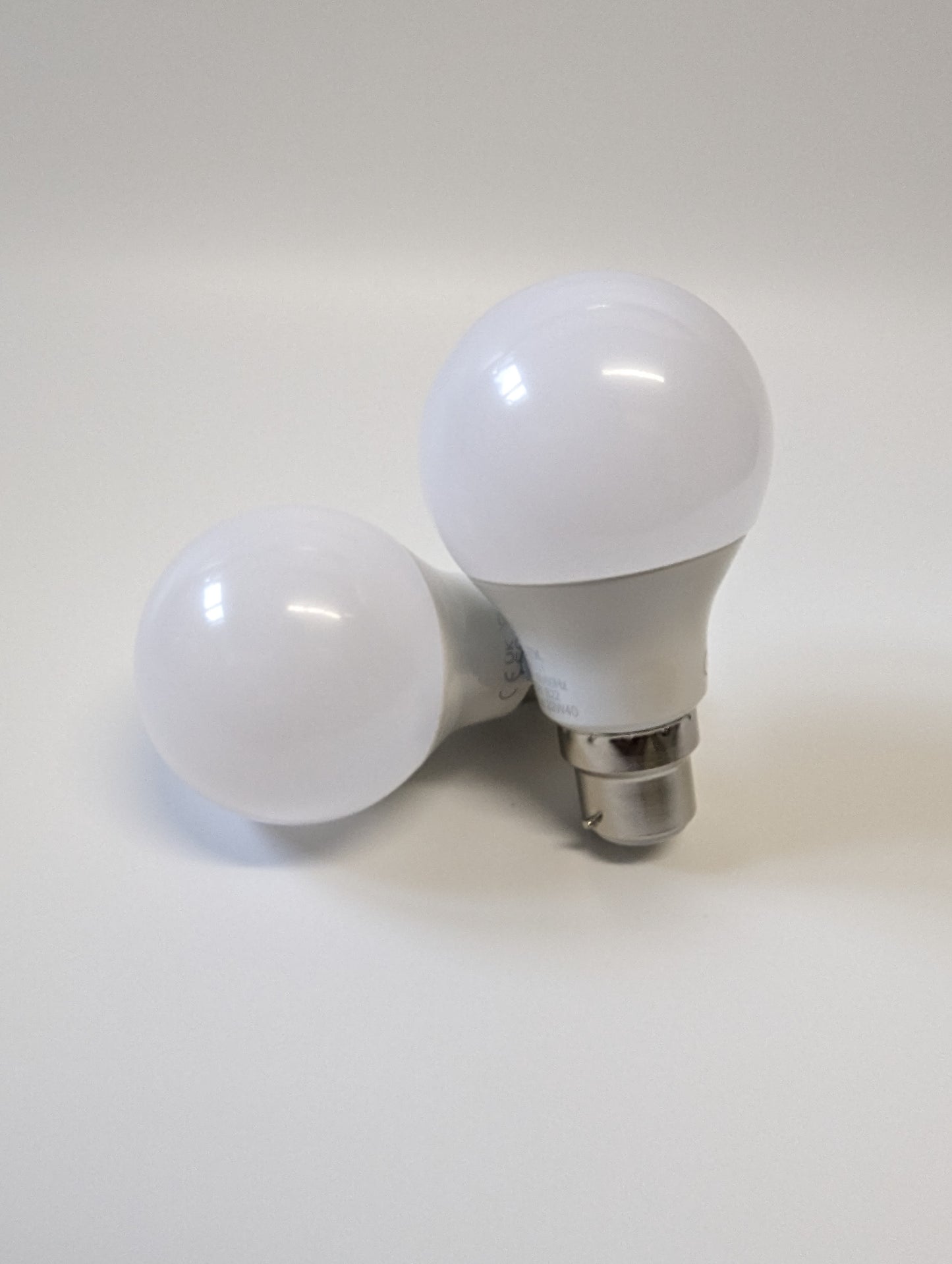 Regular Frosted Light Bulb