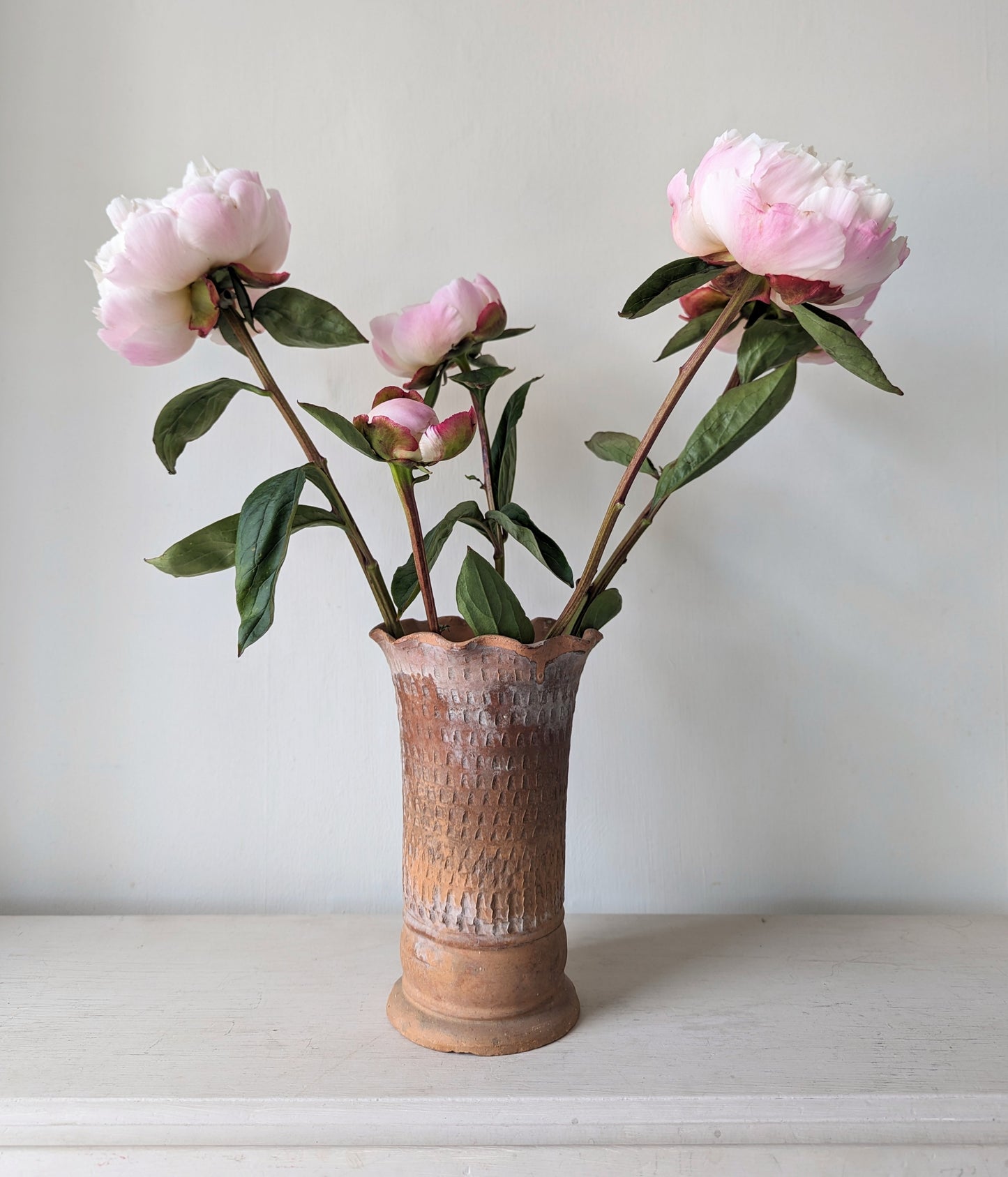 Terracotta Scalloped Vase