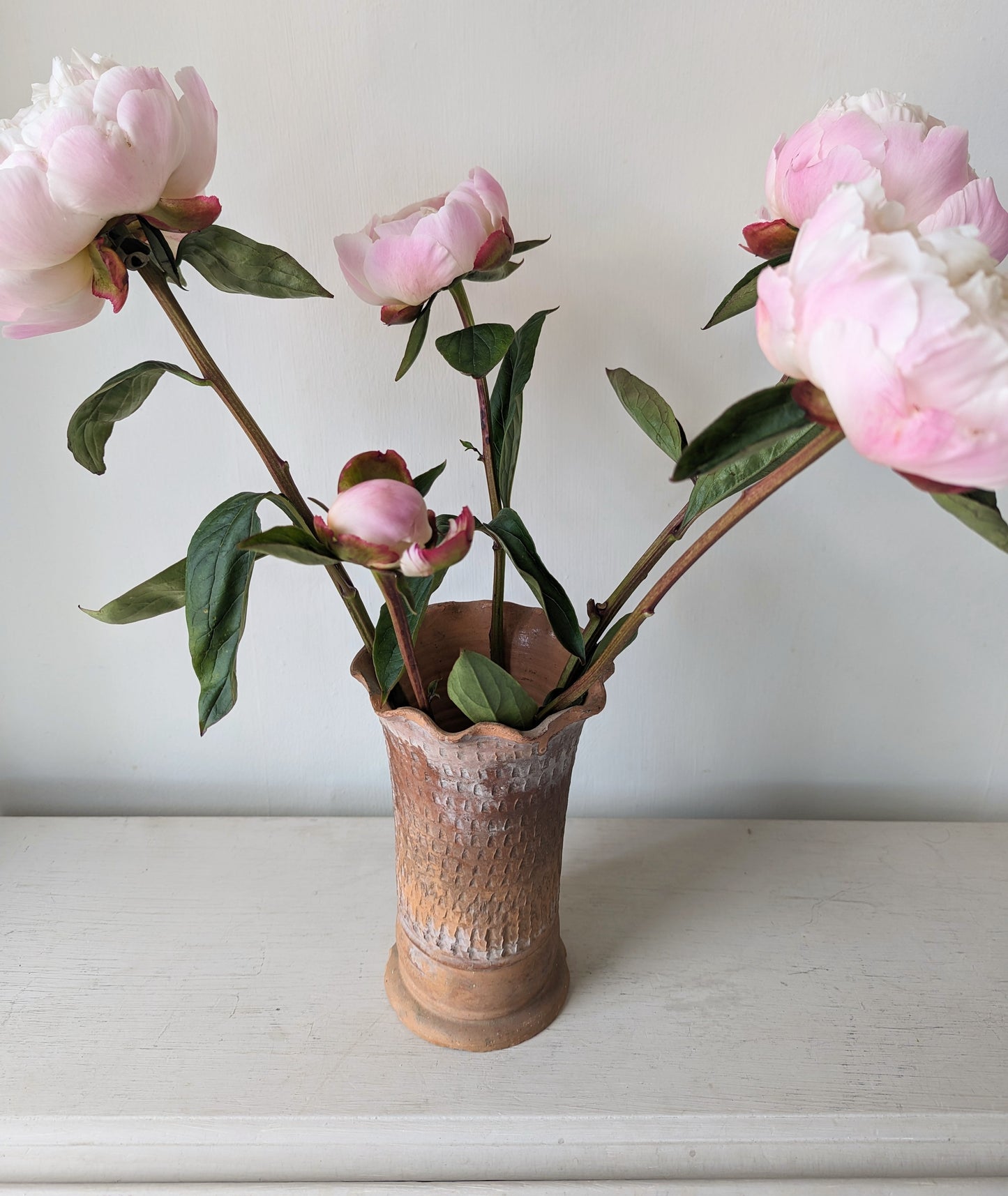 Terracotta Scalloped Vase