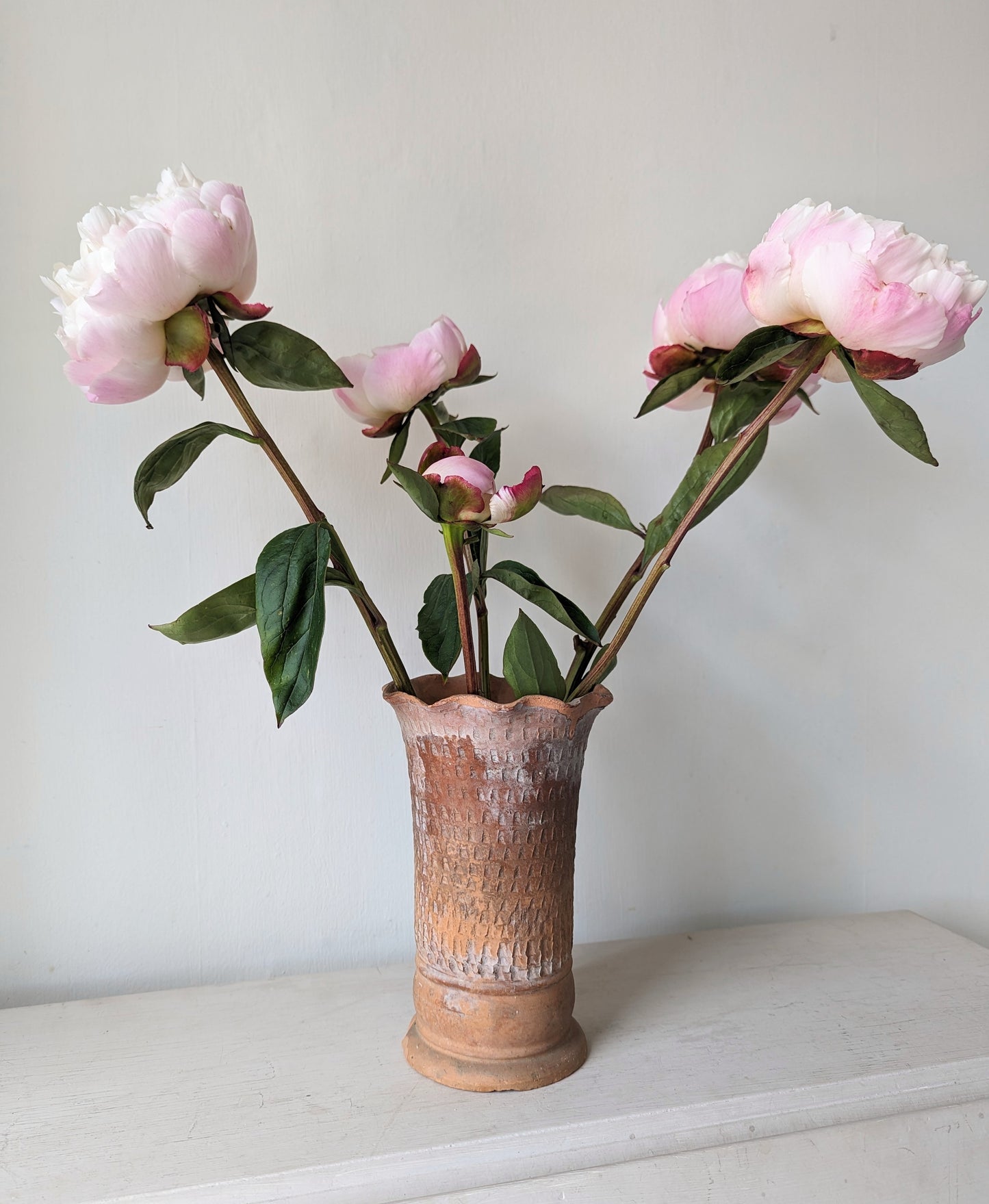 Terracotta Scalloped Vase