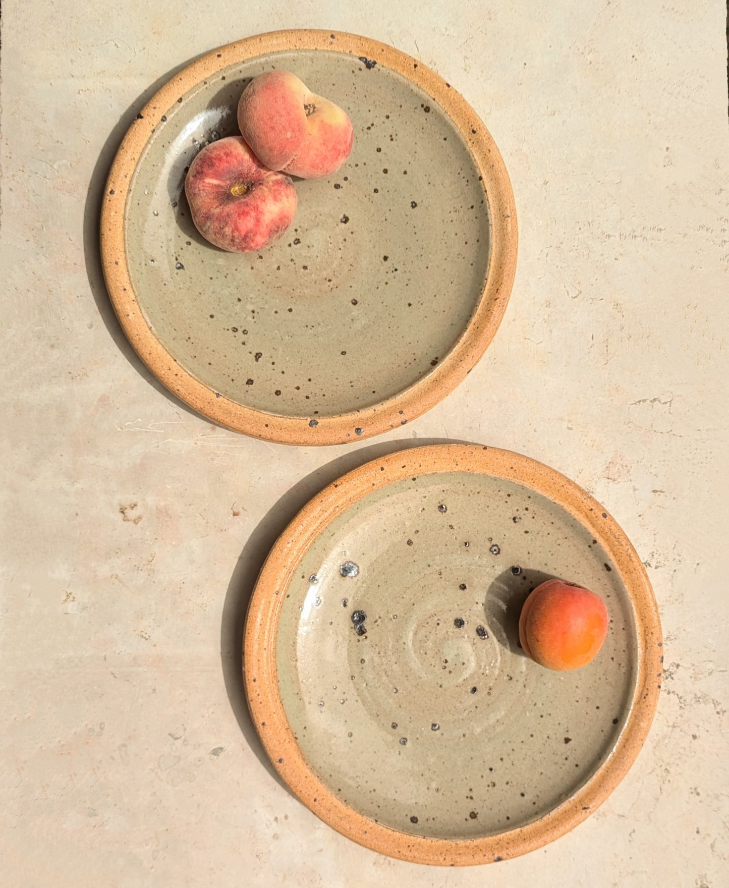 Pair of Speckled Stoneware Plates