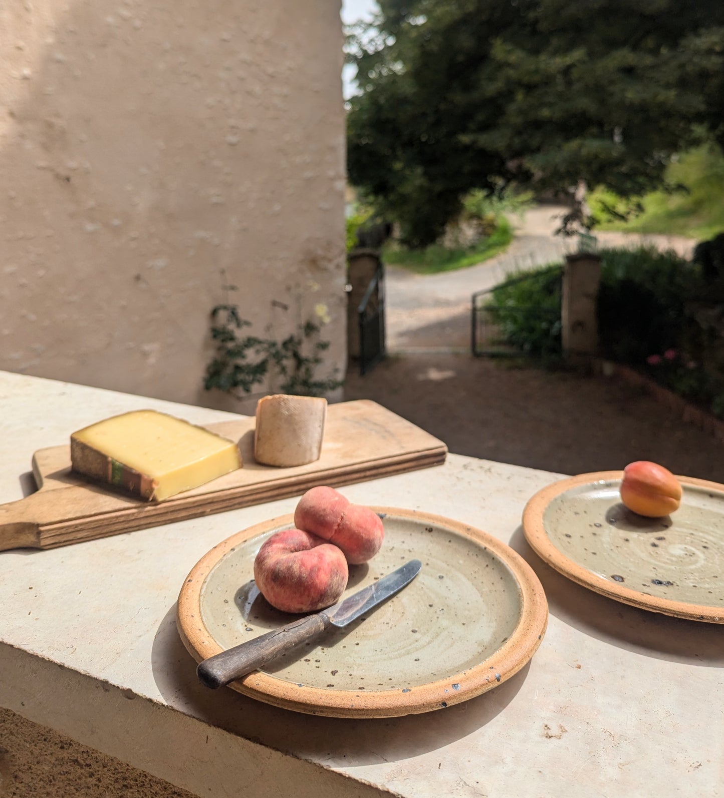 Pair of Speckled Stoneware Plates